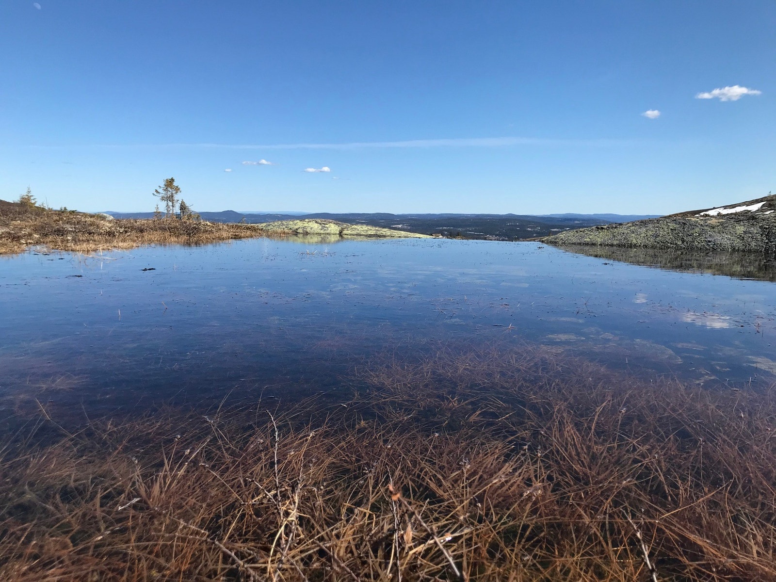 Bilde fra selgers arkiv Galleribilde