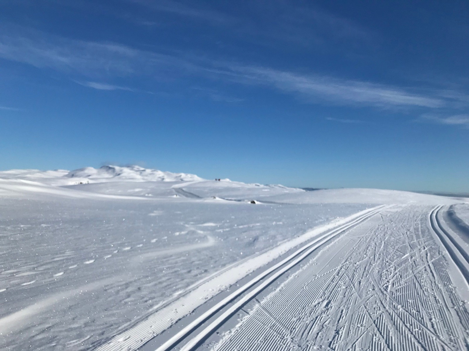 Flotte skiløyper - bilde fra selgers arkiv Galleribilde