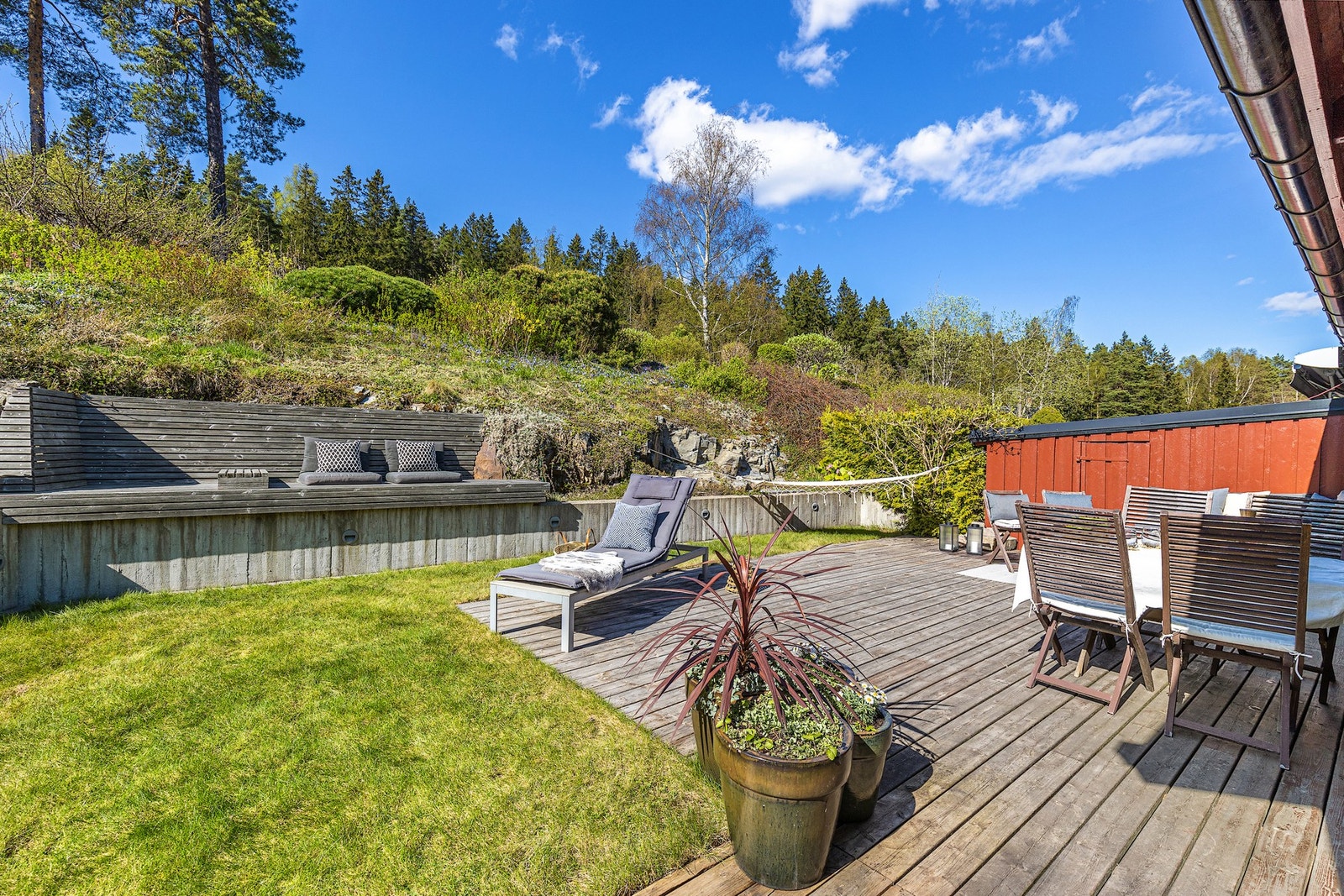 Det er både bærbusker og frukttrær i hagen. (Solbær, rips og stikkelsbærbusker. Plomme, morell og ferskentre. Rabarbara og noen jordbærplanter - og tyttebær og villbringebær). Galleribilde