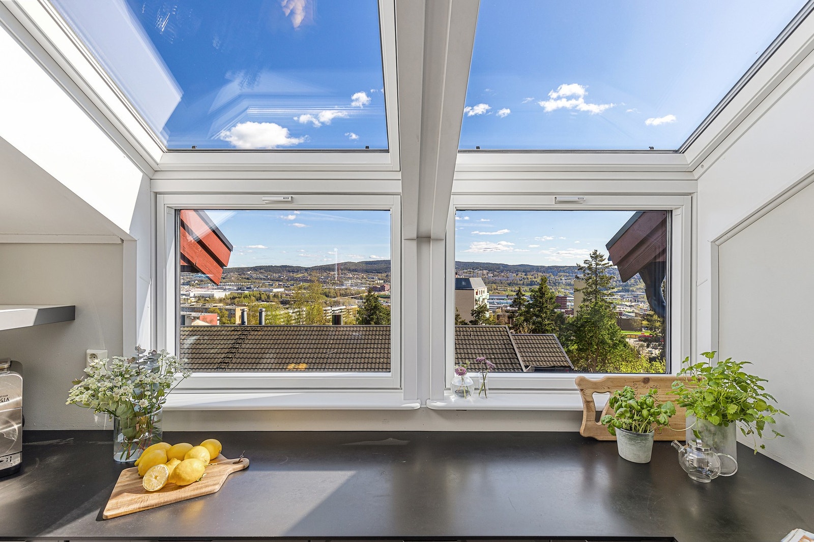Nydelig utsikt fra kjøkkenbenken. Galleribilde