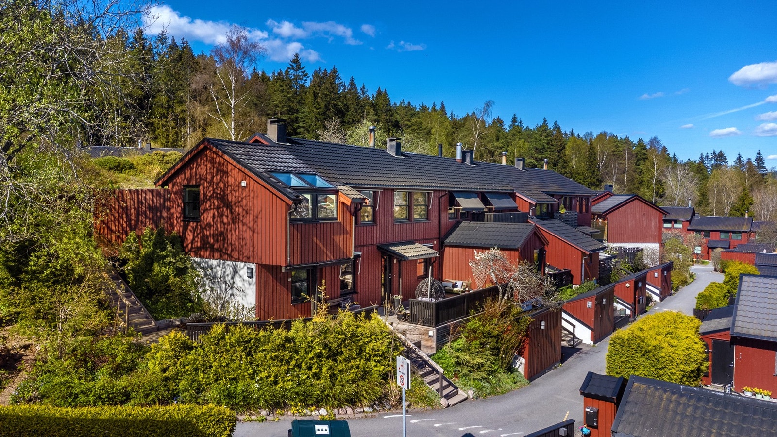 Grønt og frodig i skogkanten ved Lillomarka. Galleribilde