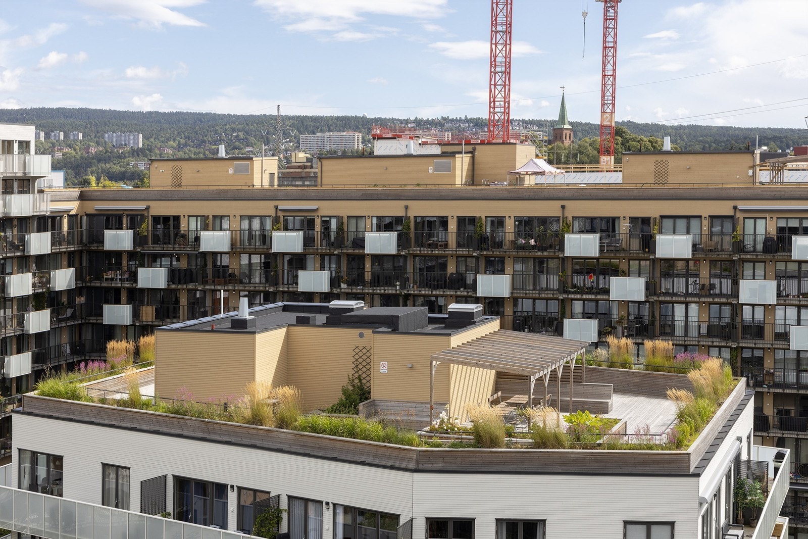 Felles takterrasse. Galleribilde