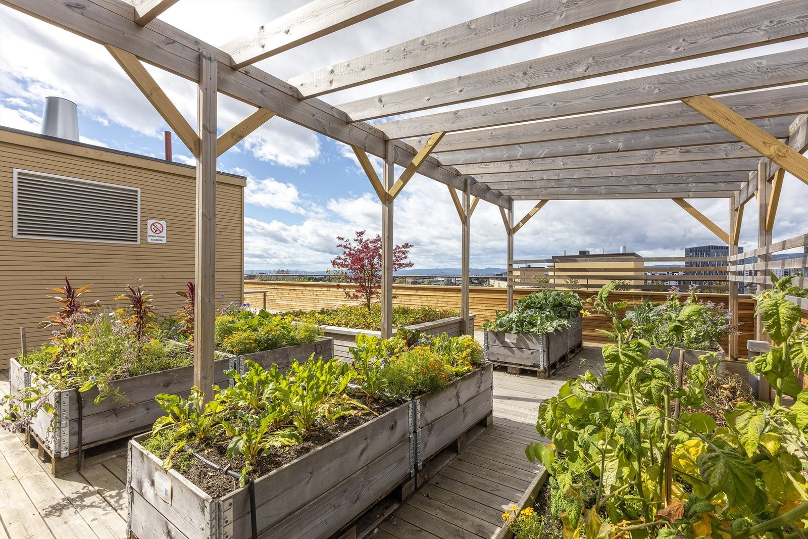 Parsellhage på felles takterrasse. Galleribilde