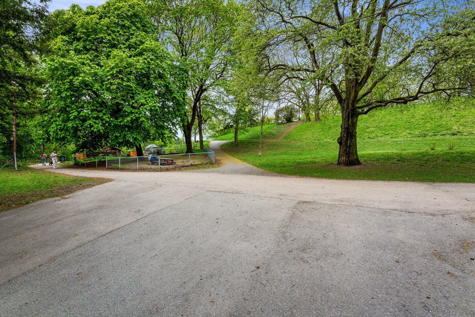 Nærområde. Galleribilde