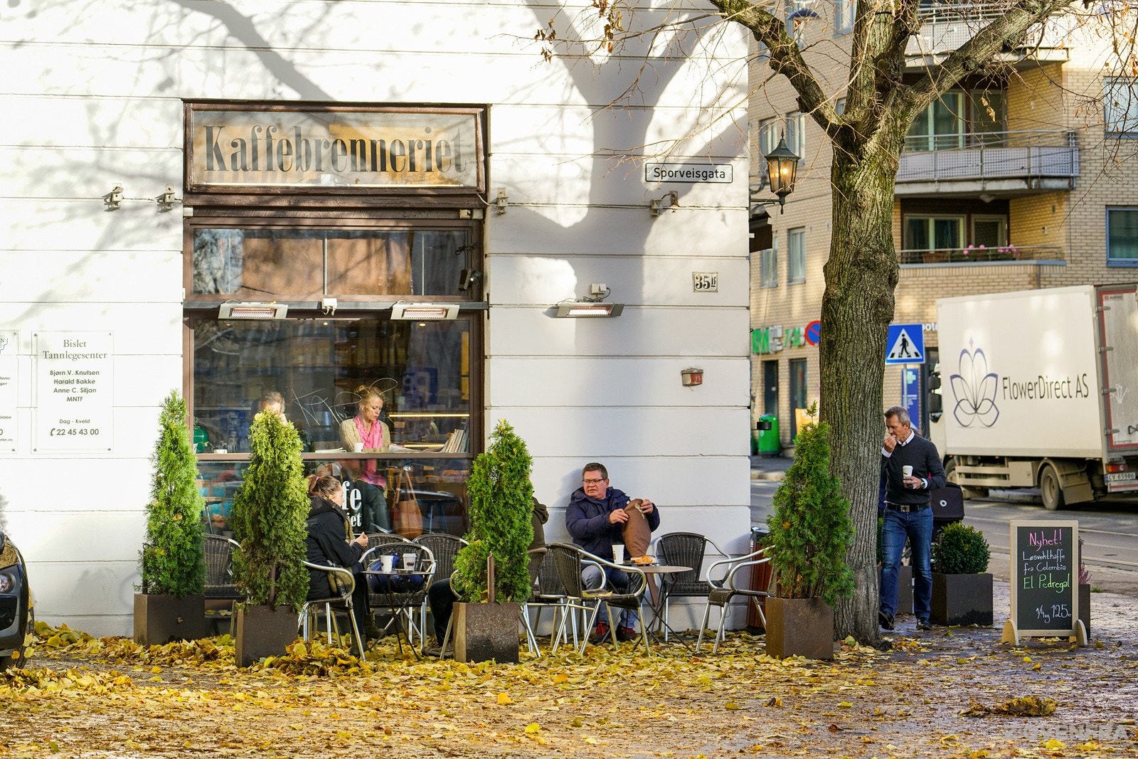 Nærområde. Galleribilde