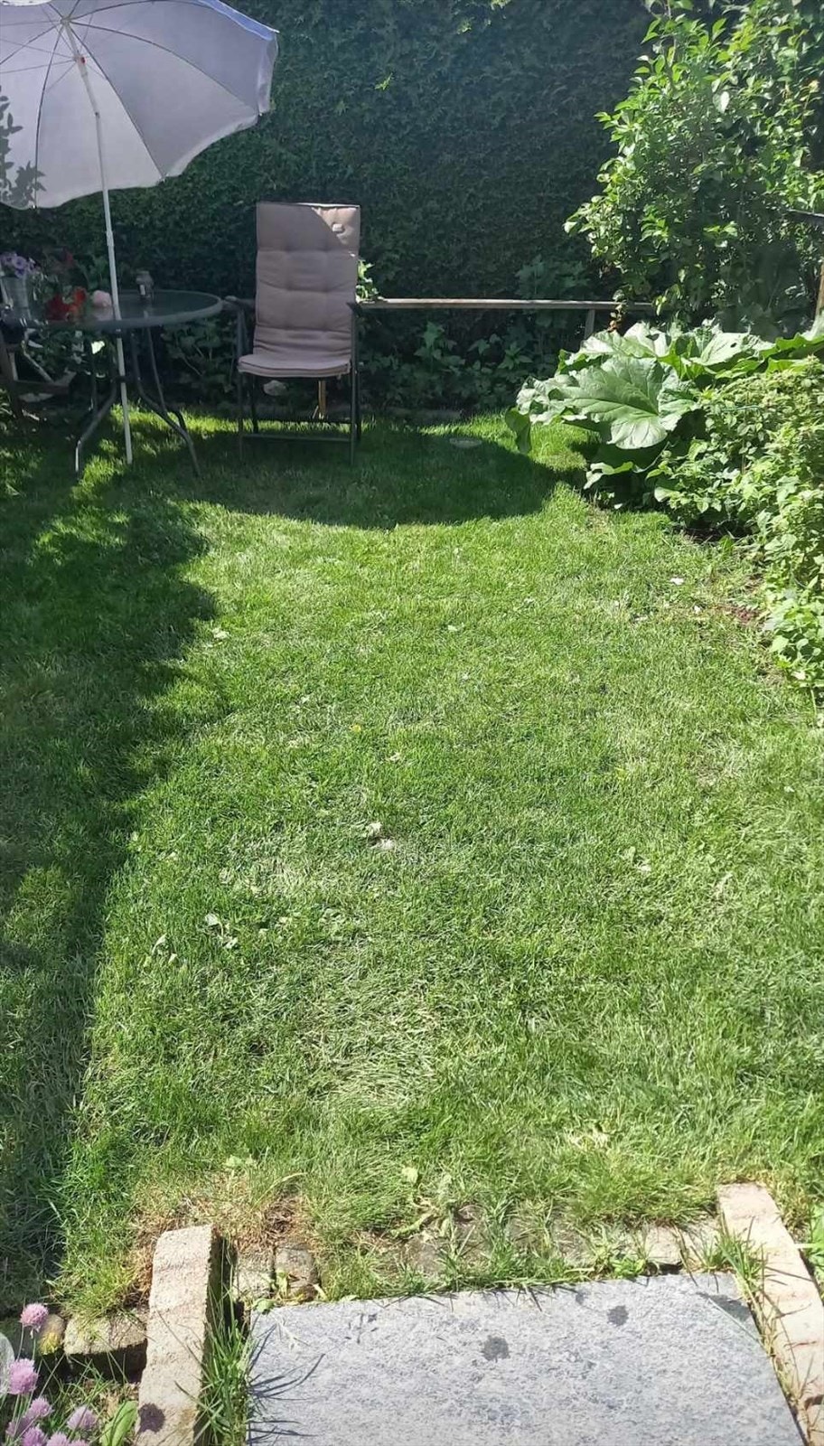 Selgers hagebilde Galleribilde