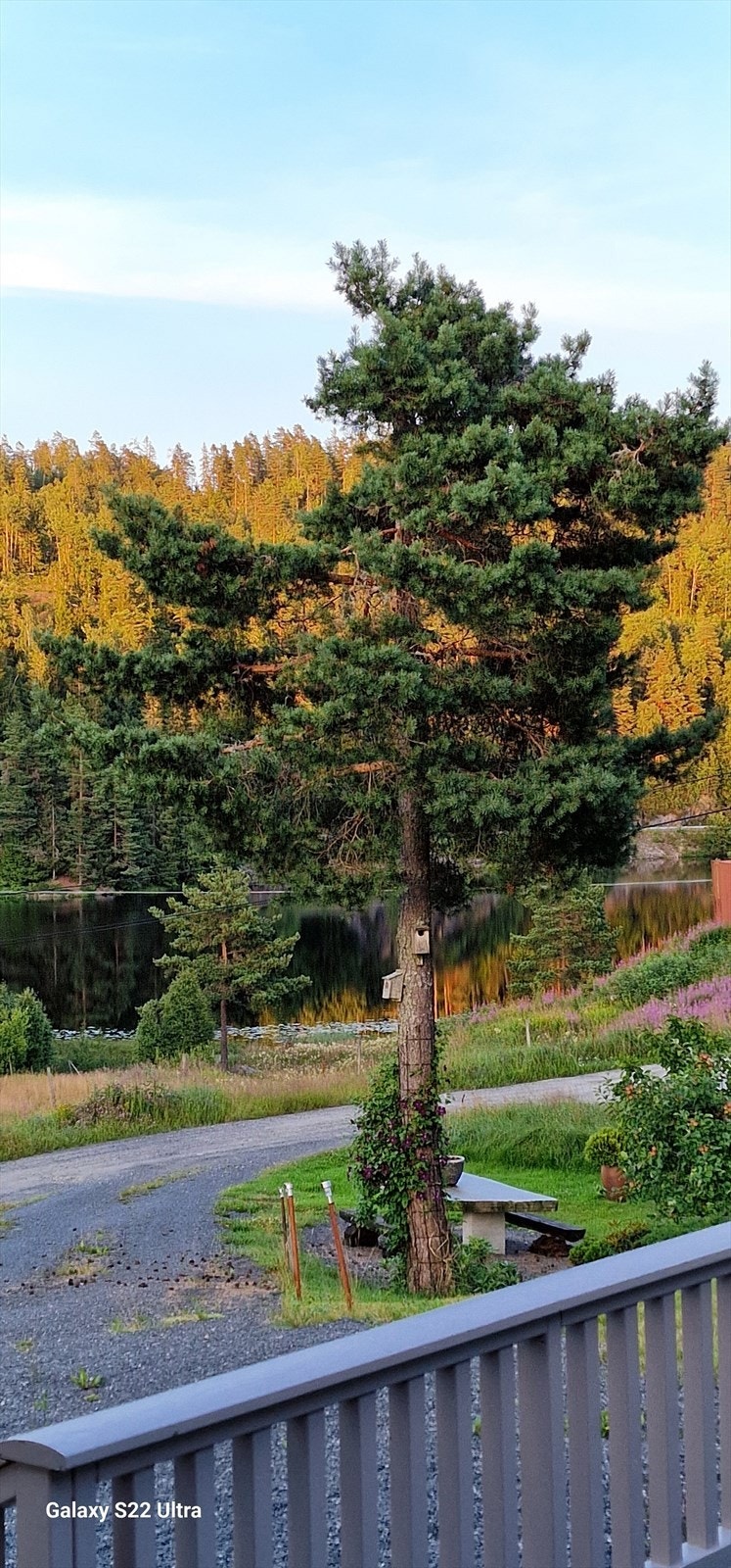 Fin utsikt til vannet fra terrassen Galleribilde