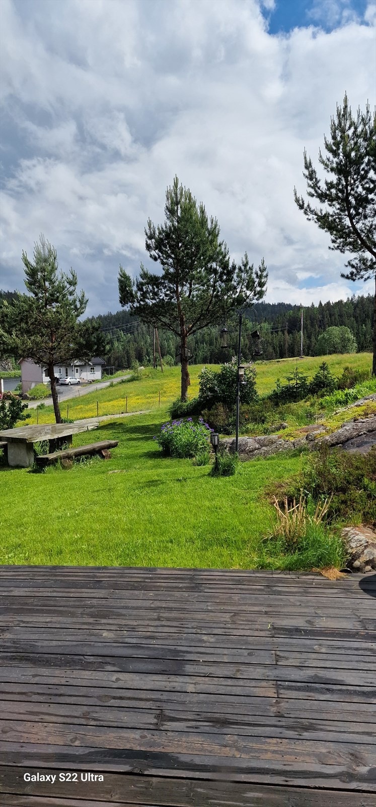 Utsyn til hagen fra terrassen Galleribilde