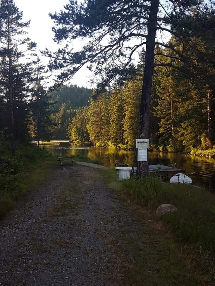 Mange fine turområdet og bbadeplasser i nærområdet Galleribilde