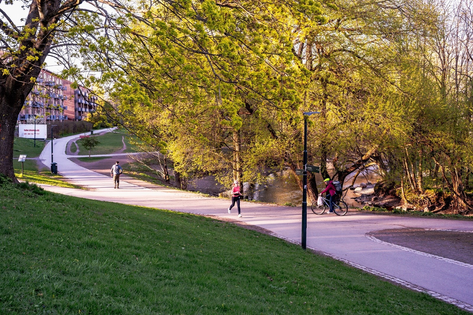 Områdebilde. Galleribilde