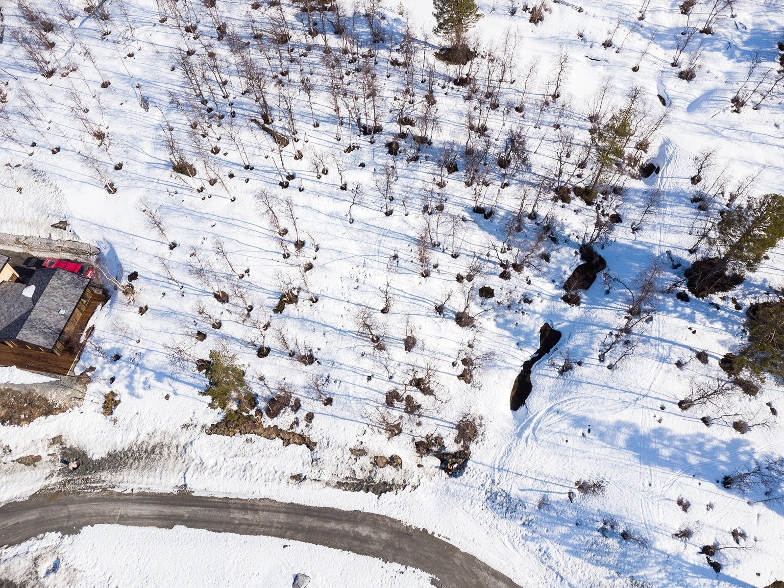 Dronebilde av tomten sett fra fugleperspektiv Galleribilde