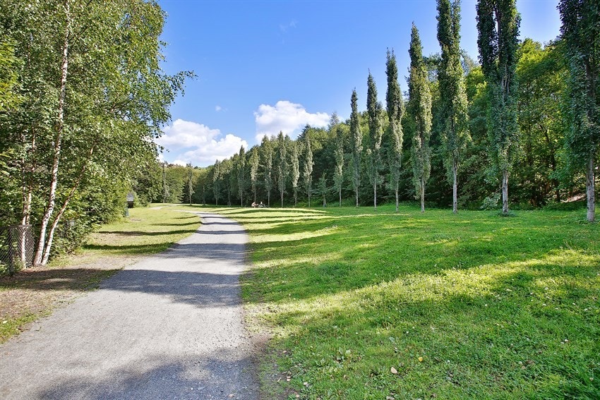 Flotte turområder i svartedalsparken. Galleribilde