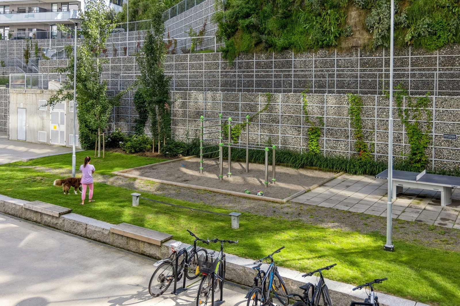 Felles sykkelparkering utenfor. Galleribilde