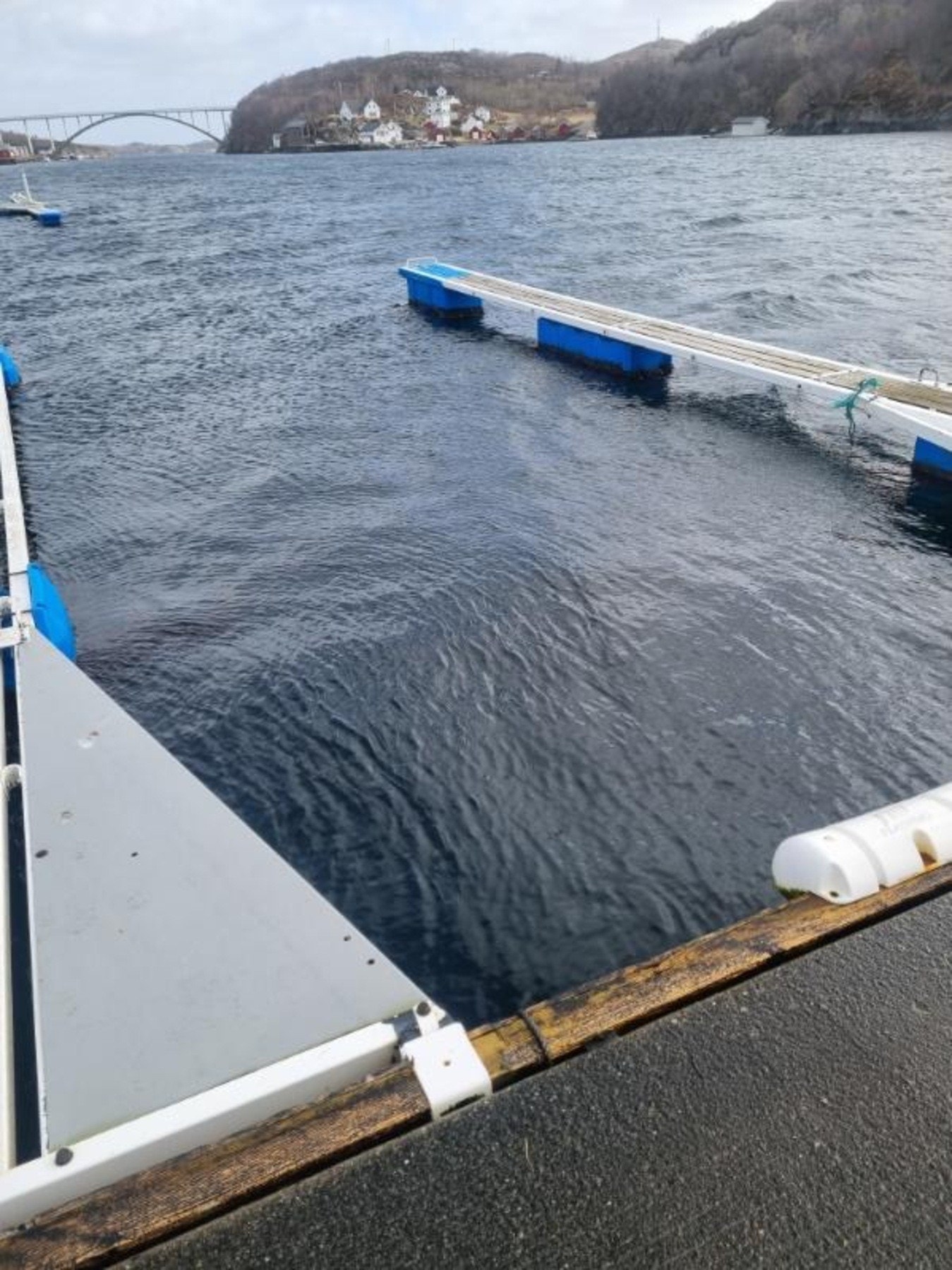 Selgers bilde. Galleribilde