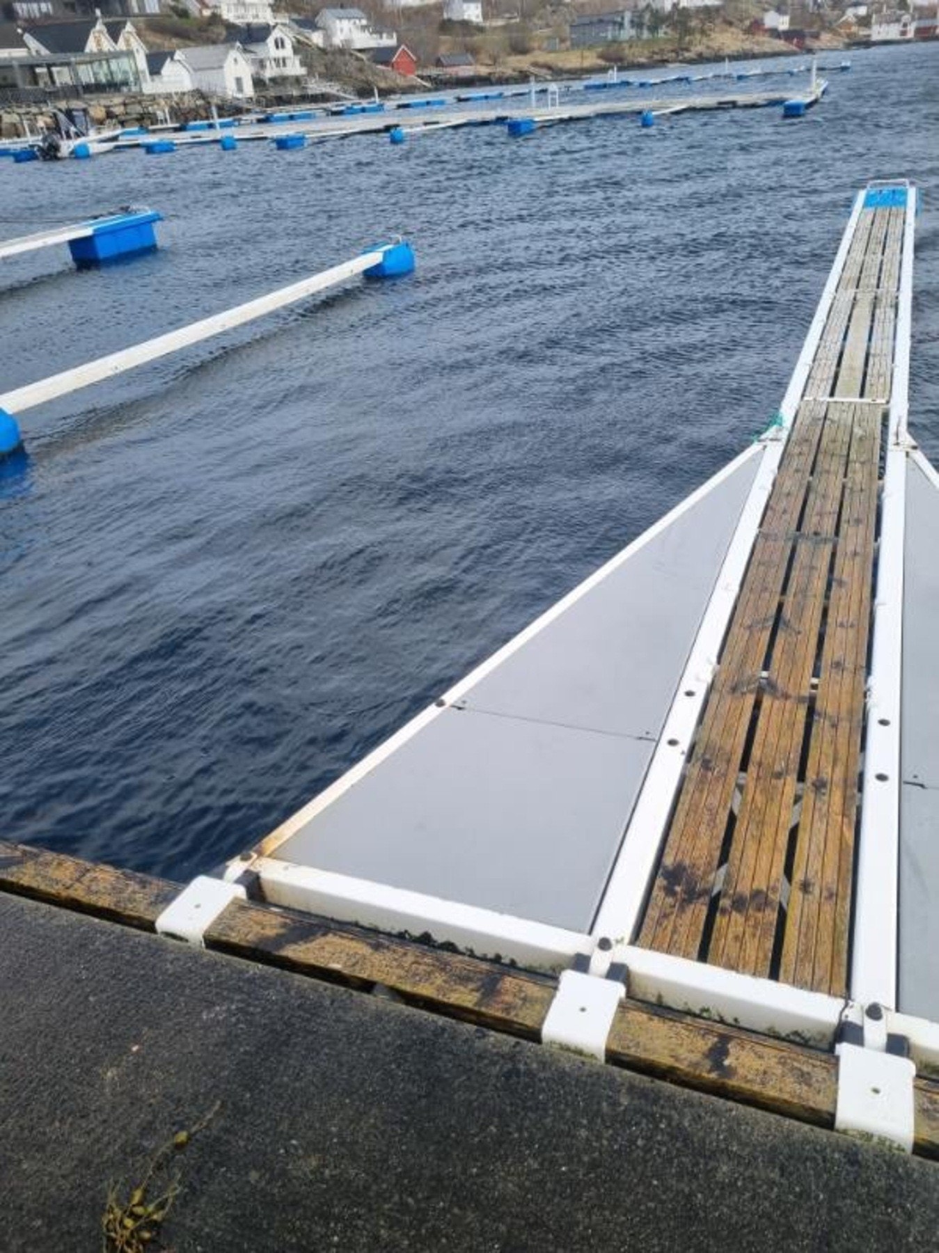 Selgers bilde - Båtplass på 5 meter i Knarrlagsundet kan kjøpes. Galleribilde