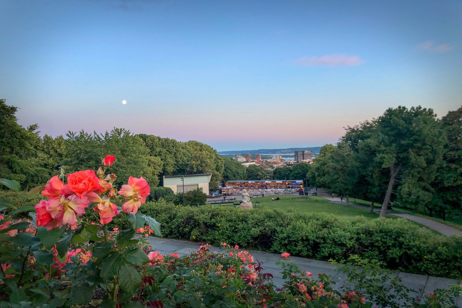 Parken der byr på flotte, grønne områder under sommerhalvåret Galleribilde