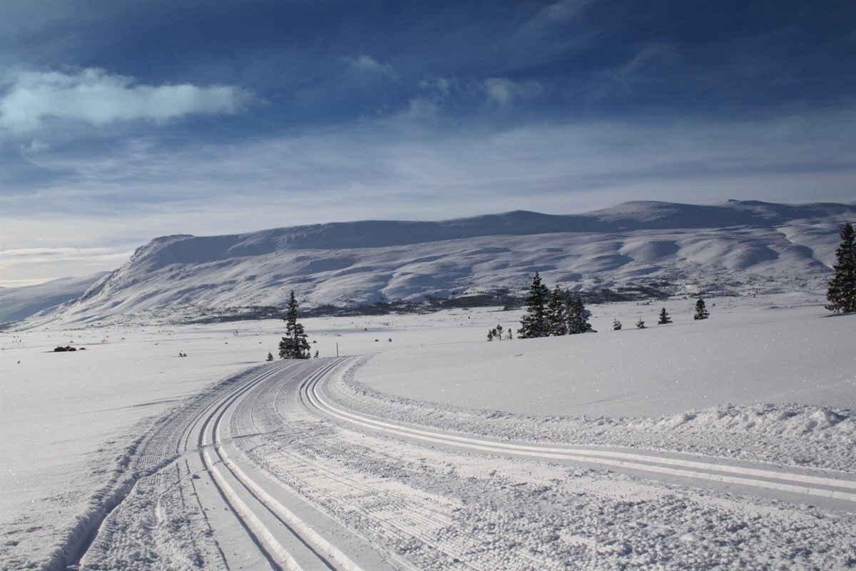 Milevis med skiløyper Galleribilde