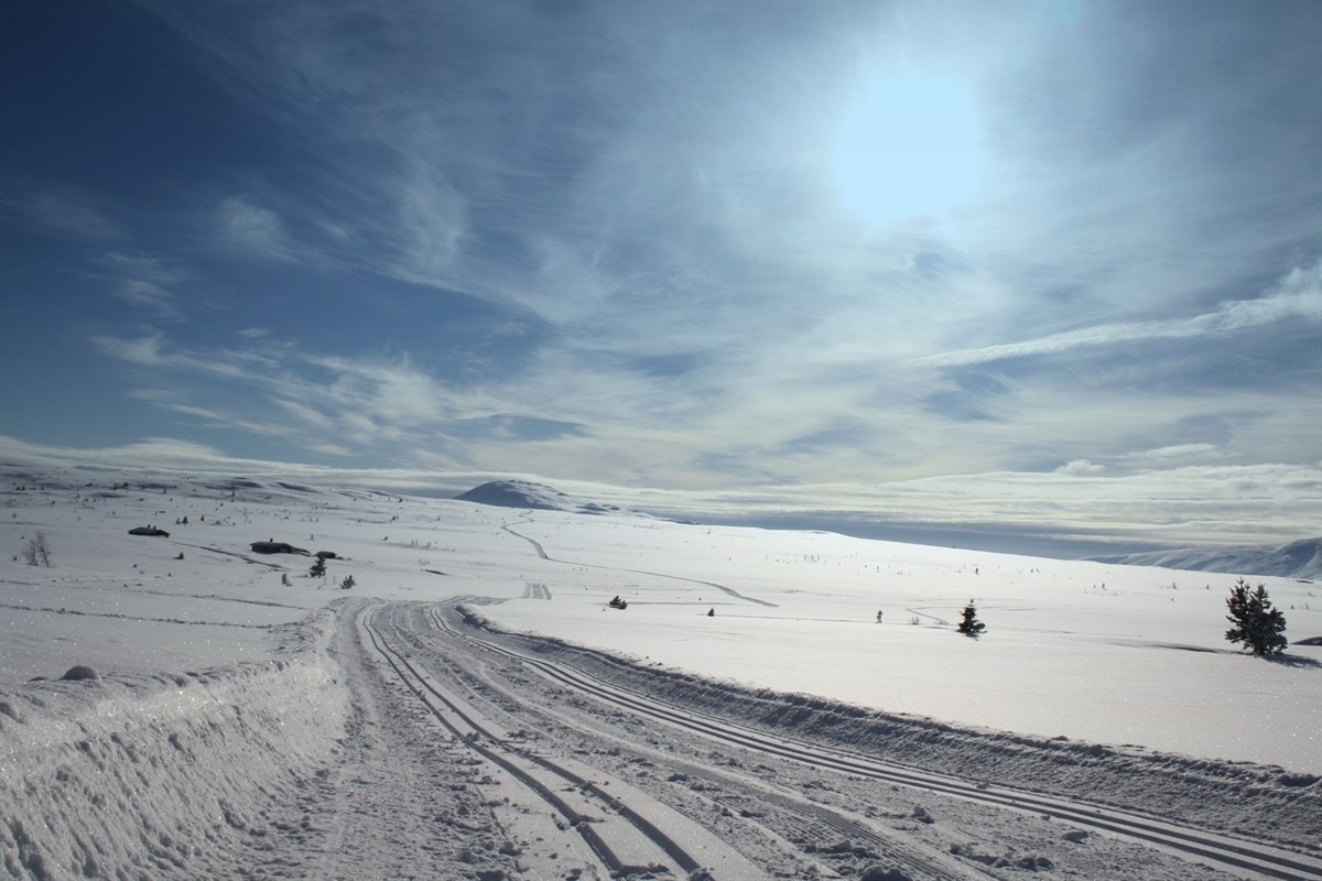 Godt utviklet løypenett som strekker seg fra Vasetområdet og videre inn i Vang kommune Galleribilde