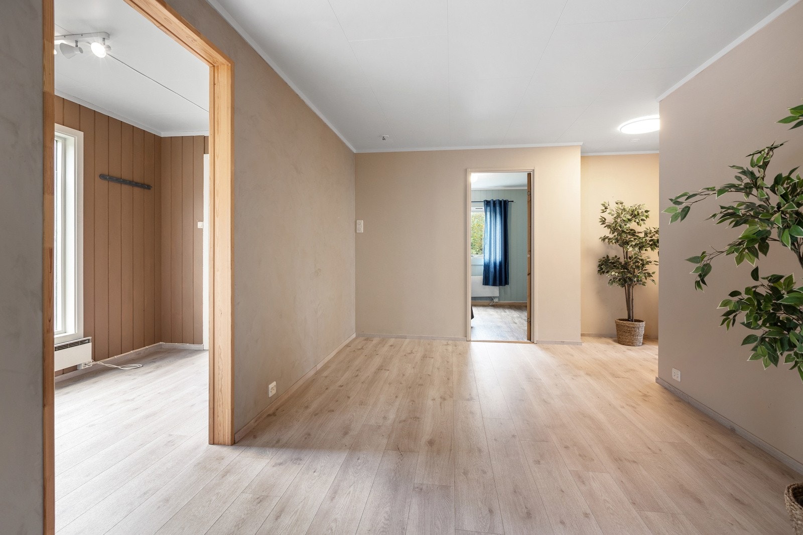Annet Galleribilde