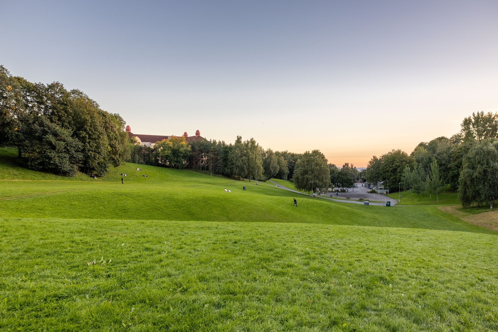 Nærområde. Galleribilde