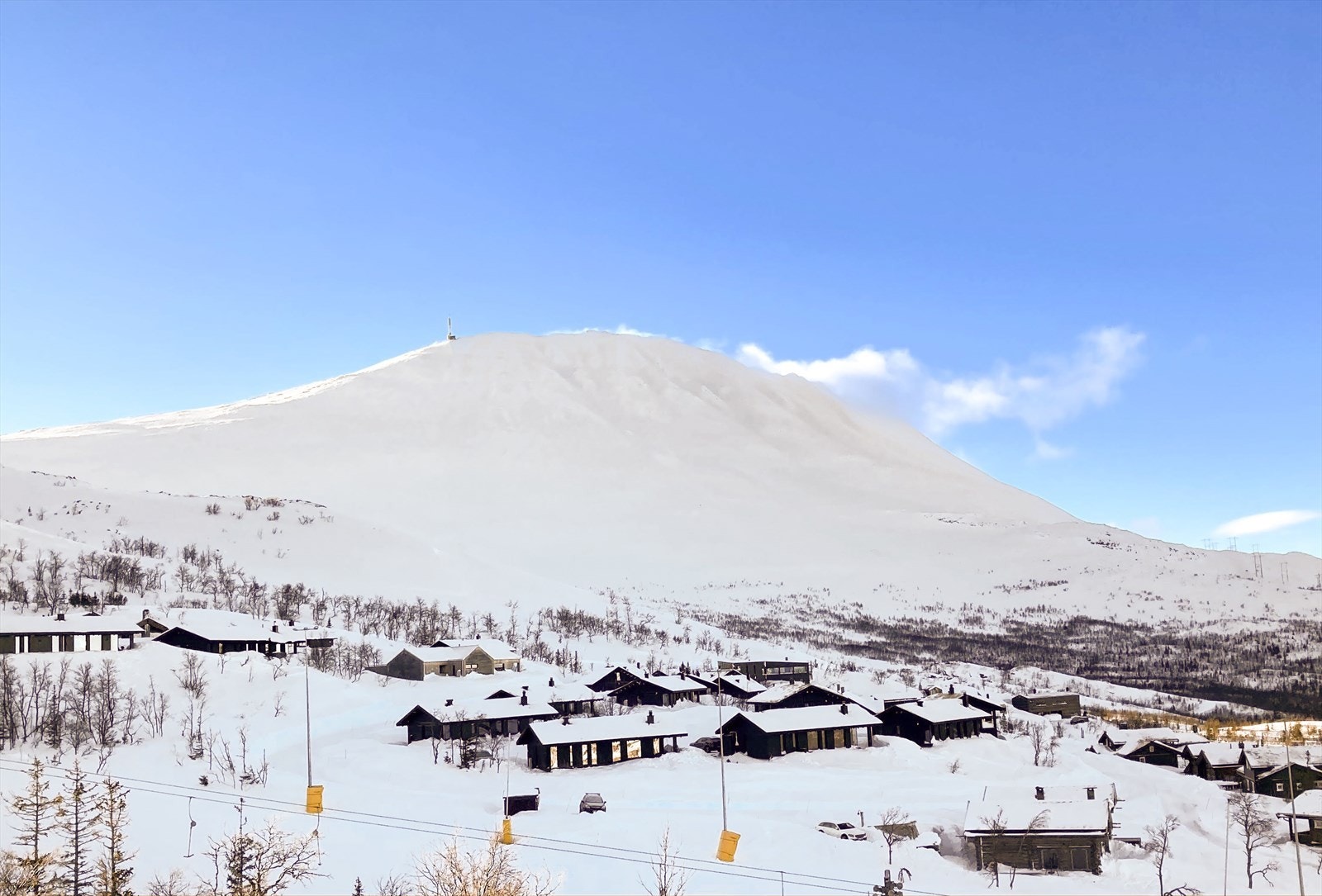 Eiernes bilde tidligere vinter Galleribilde