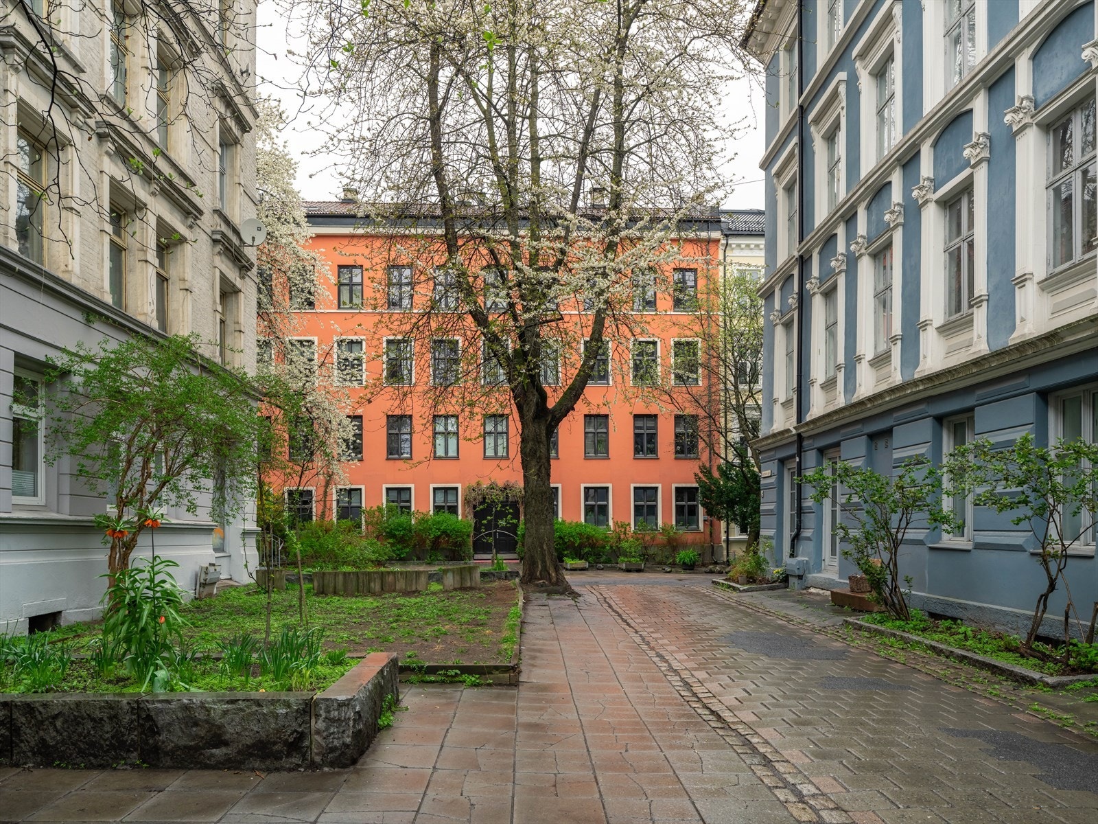 Her blomstrer det pent på sommerstid. Galleribilde