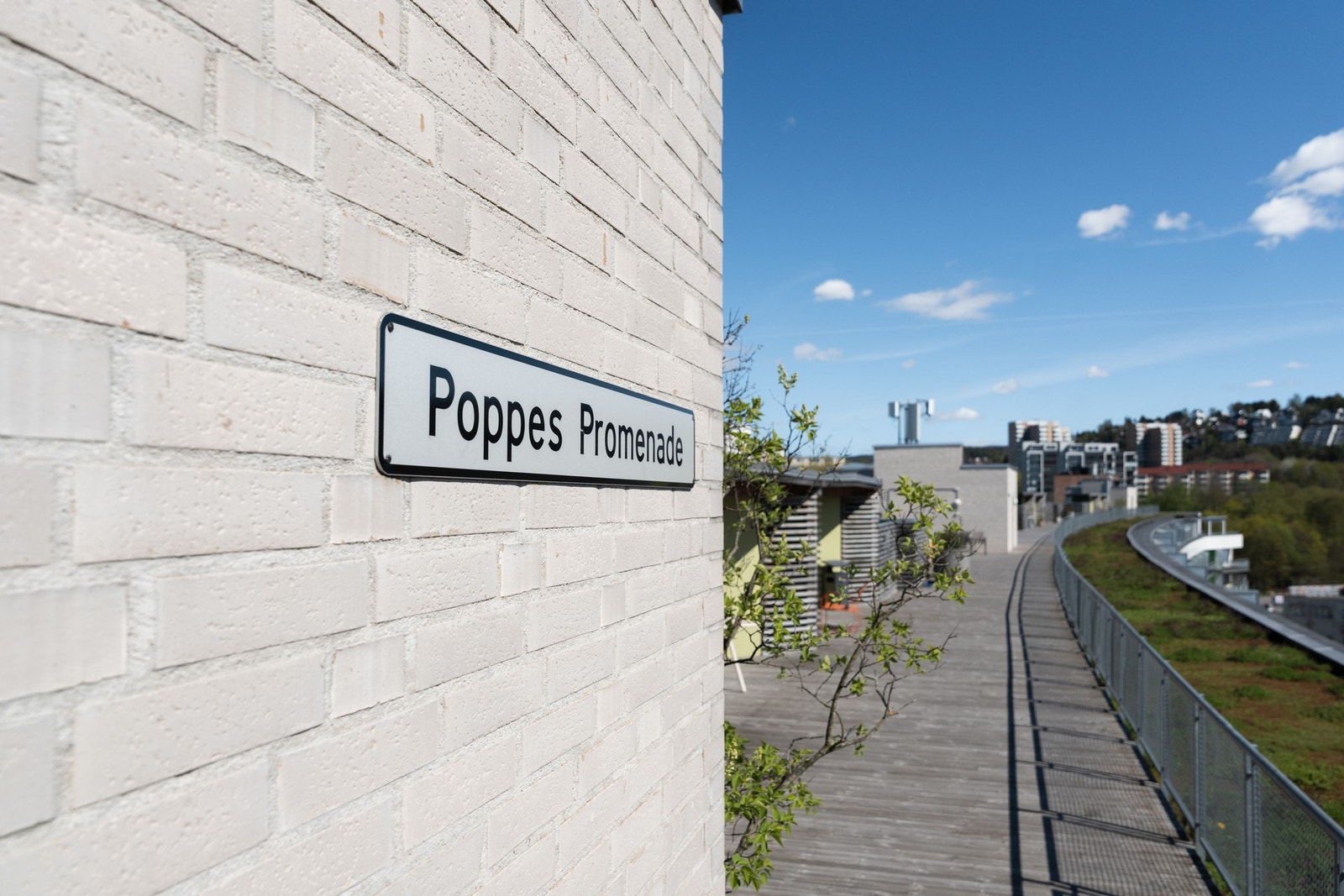 Stor felles takterrasse. Galleribilde