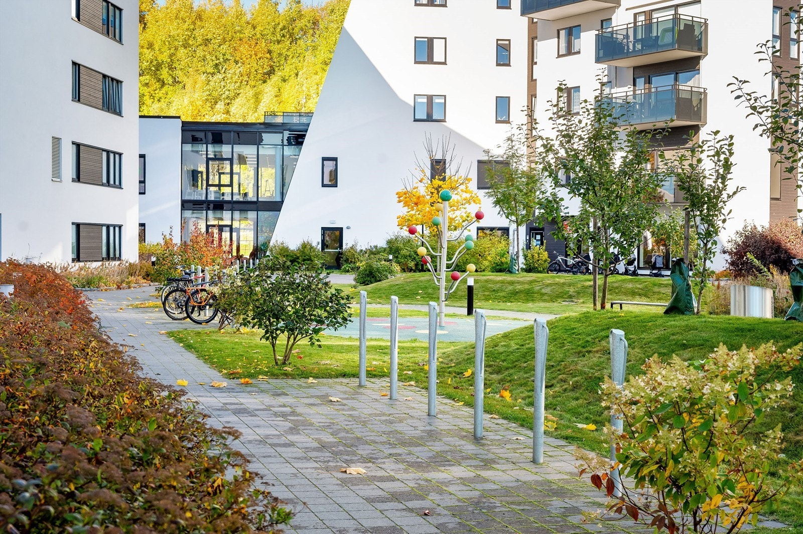 Pent opparbeidet bakgård med plen, diverse beplantning og flere sykkelparkeringer Galleribilde