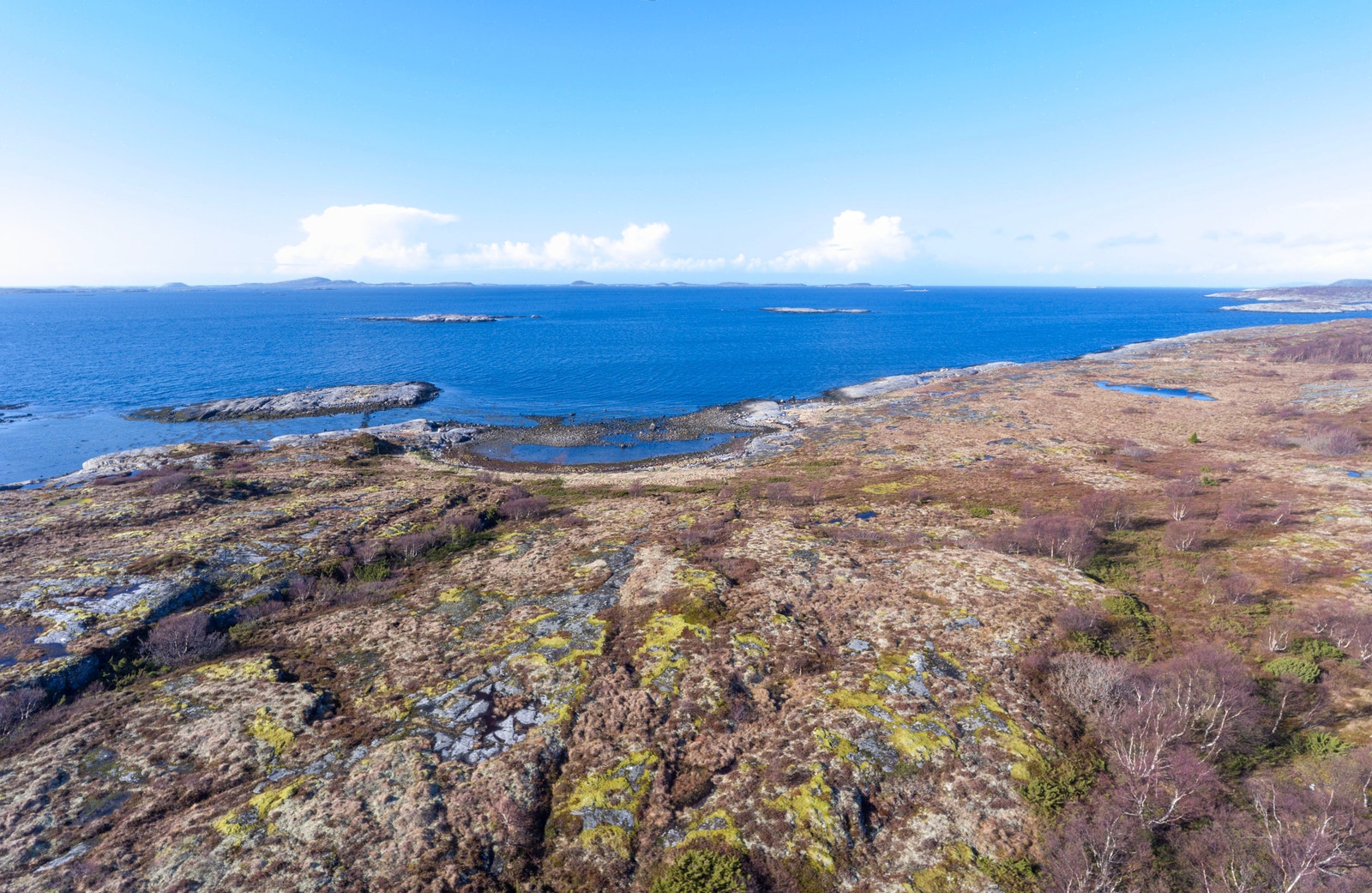 Landskapet rundt består av vakker kystnatur Galleribilde