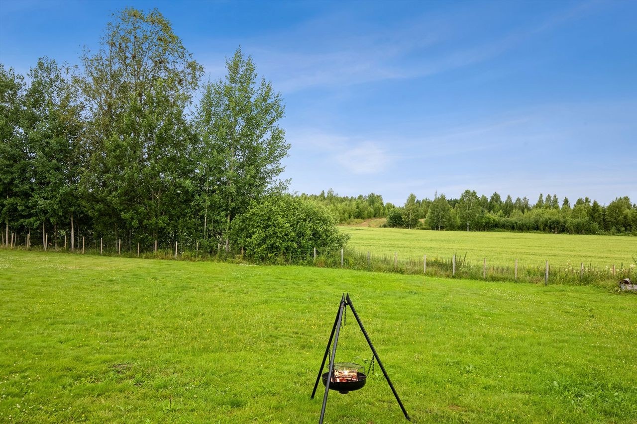 Flotte omgivelser Galleribilde