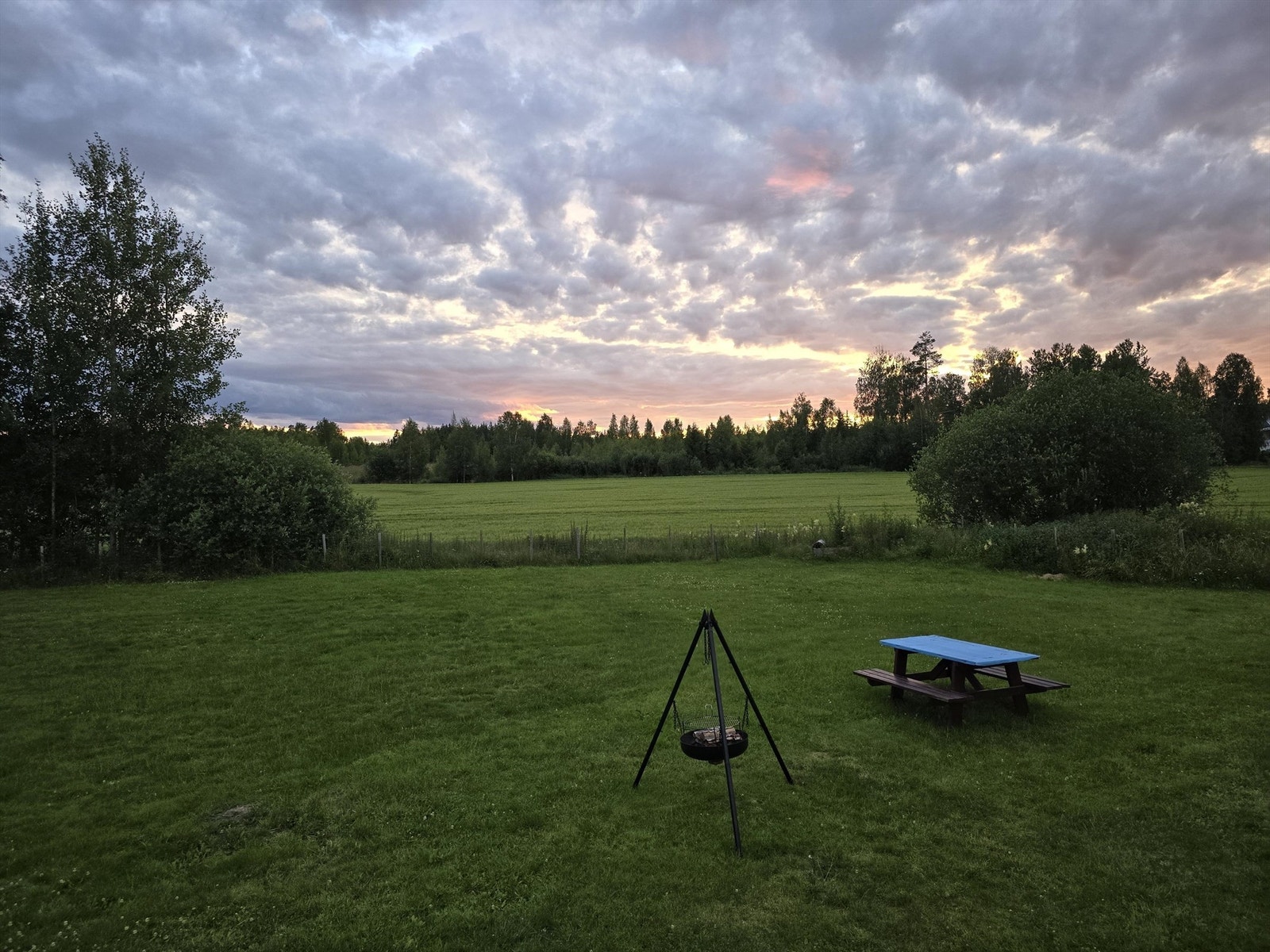 Selgers egne bilder Galleribilde