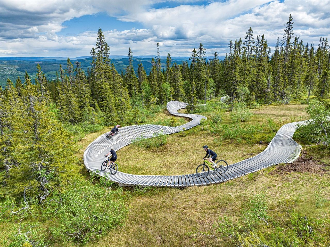 Sykling. Foto Ola Matsson Galleribilde