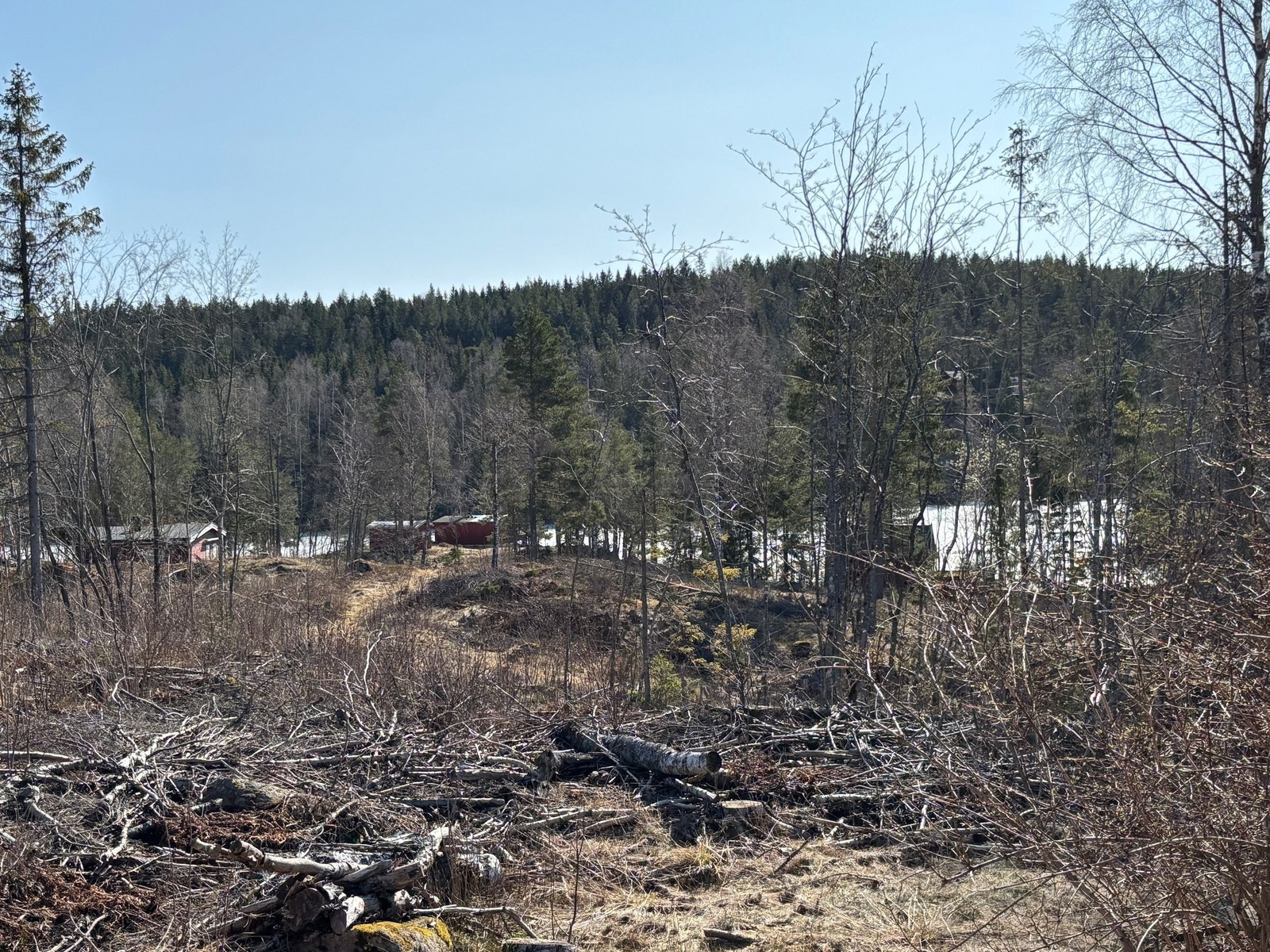 Utsikt 4. april; våren er på vei men tjernet er fortsatt islagt Galleribilde