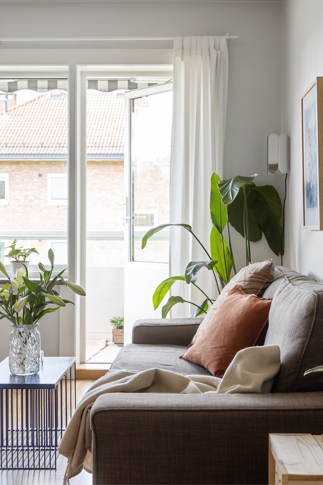 Solhungrig? Bli med ut da! Galleribilde