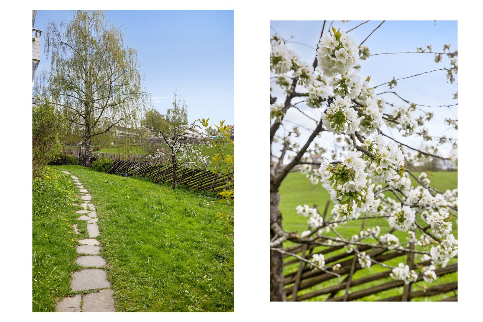 Skigard, hellestier og epletrær i full blomst. -Lite minner om at du fra leiligheten bruker 3 minutter på å gå til T-banen og at du etter 4 minutter står midt i Carl Berner krysset! Galleribilde