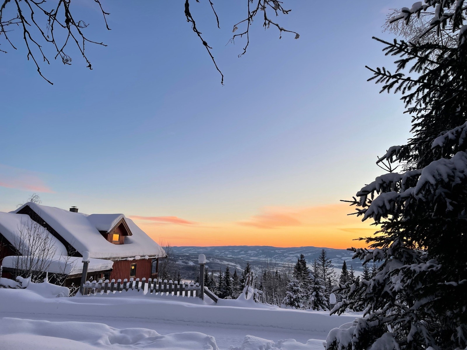 Selgers egne bilder Galleribilde