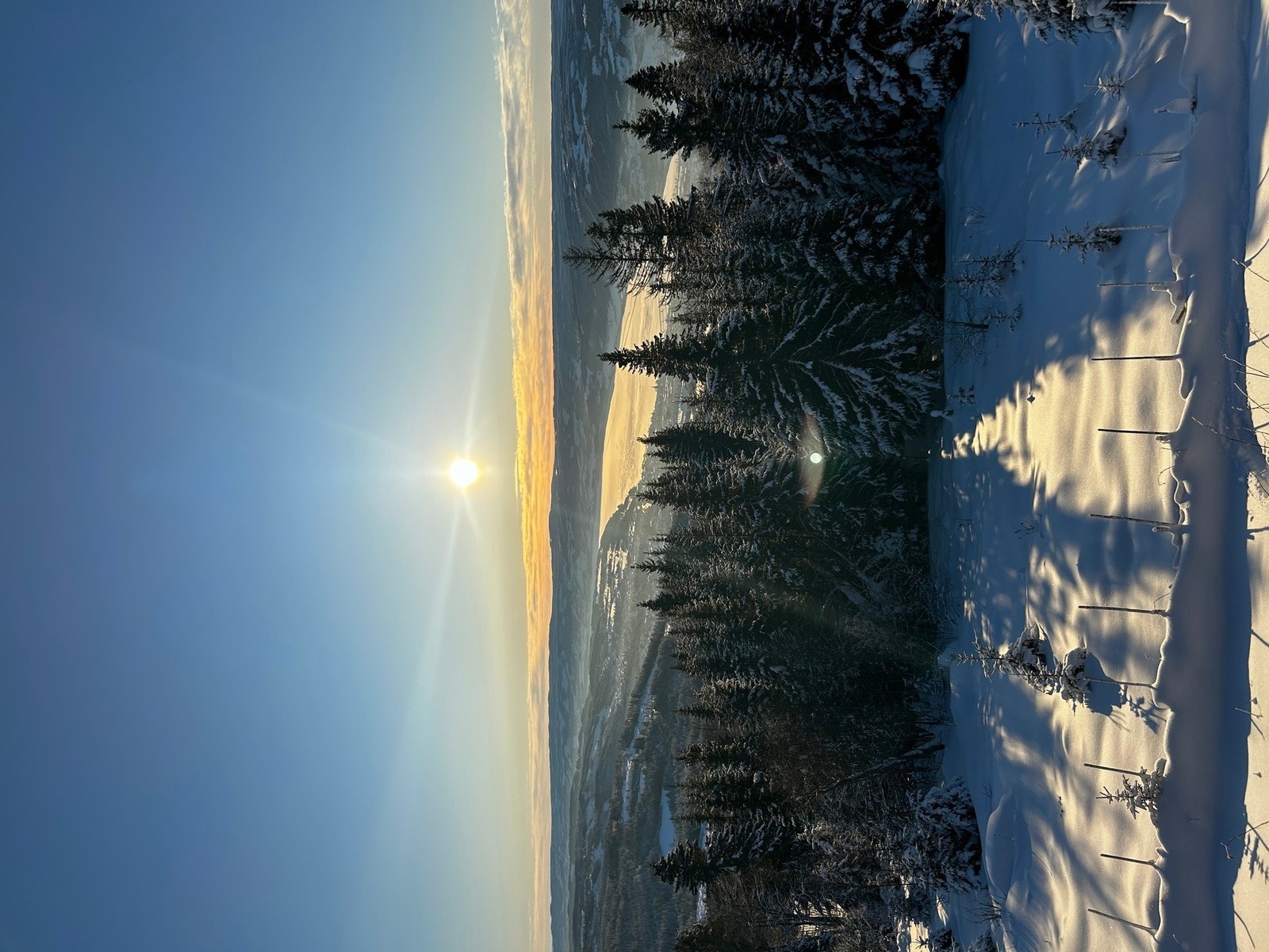 Selgers egne bilder Galleribilde