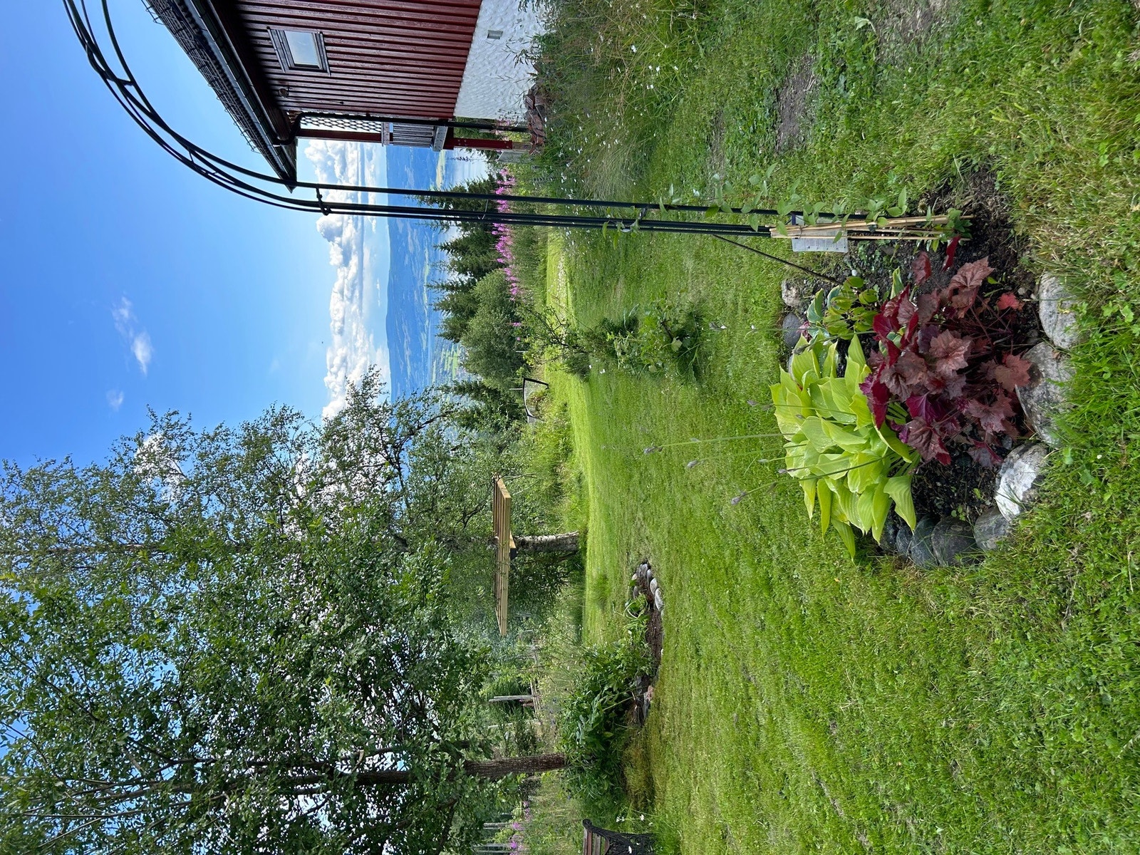 Selgers egne bilder Galleribilde