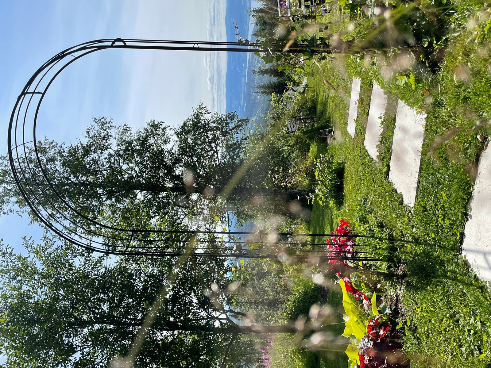 Selgers egne bilder Galleribilde