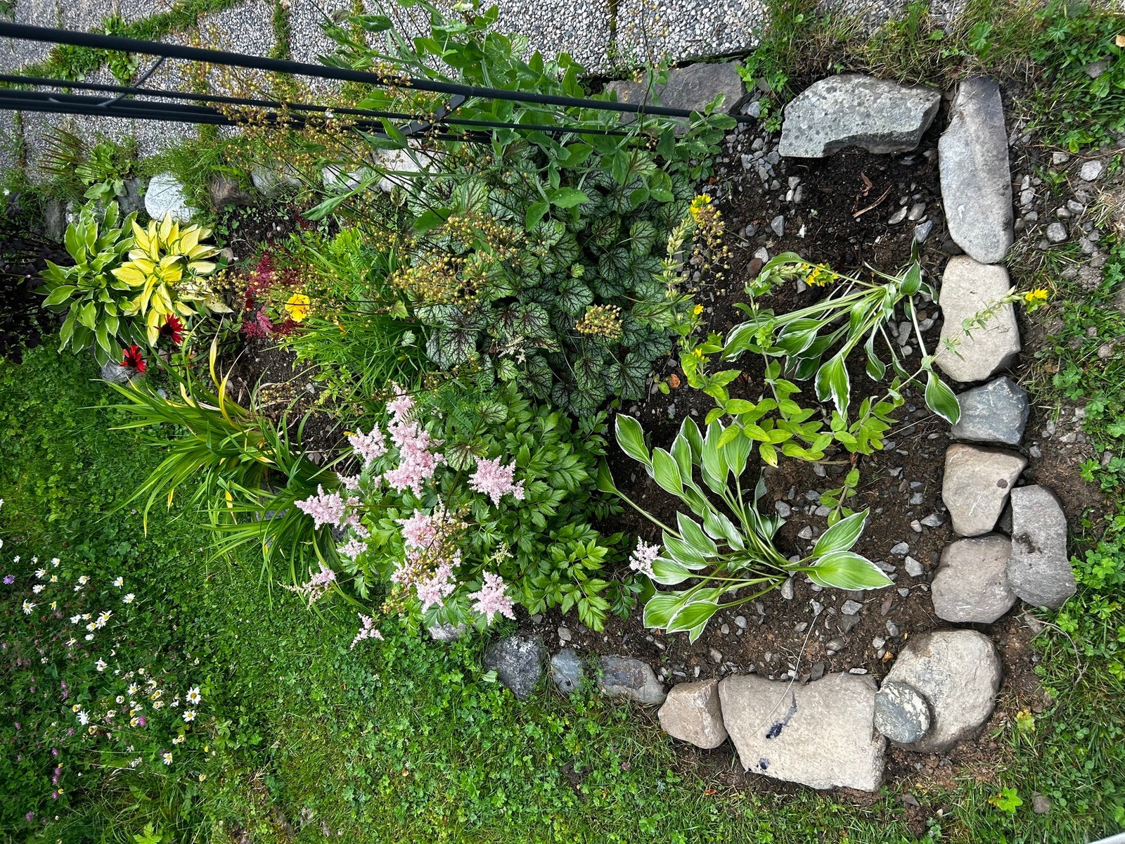 Selgers egne bilder Galleribilde