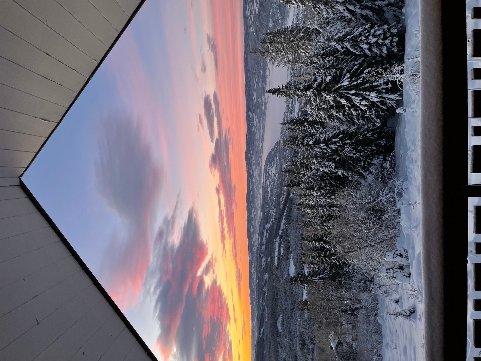 Selgers egne bilder Galleribilde