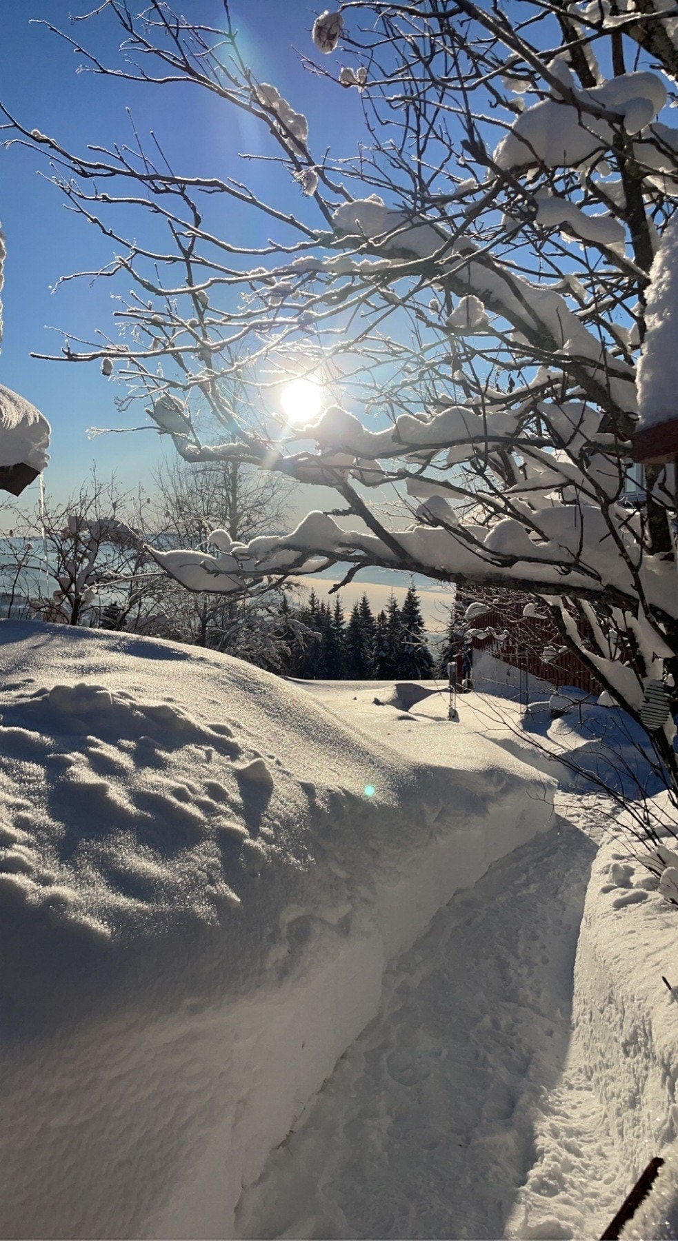 Selgers egne bilder Galleribilde