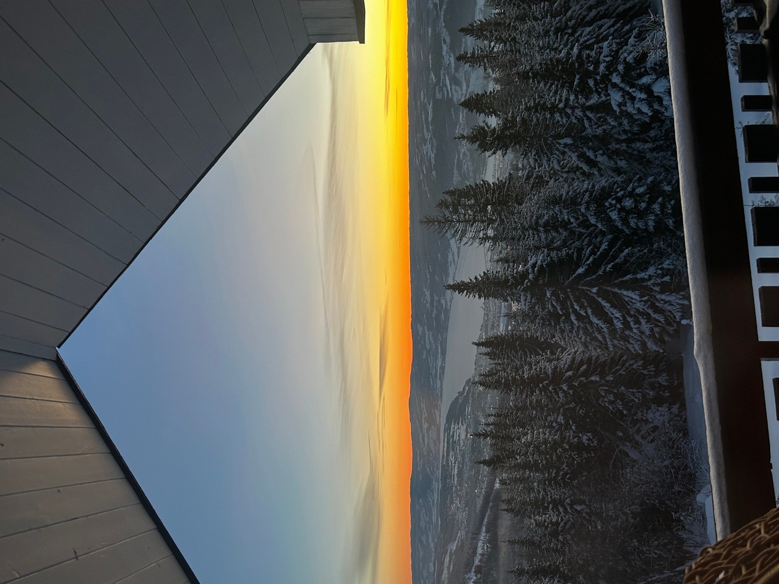 Selgers egne bilder Galleribilde