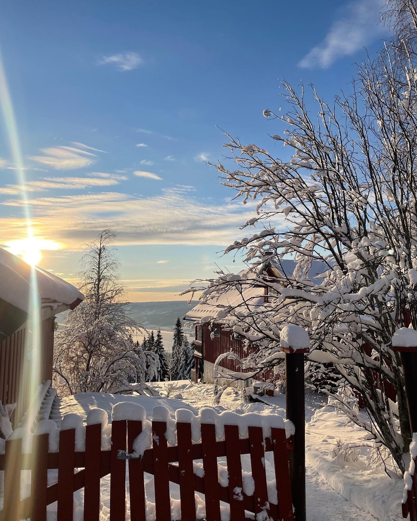 Selgers egne bilder Galleribilde