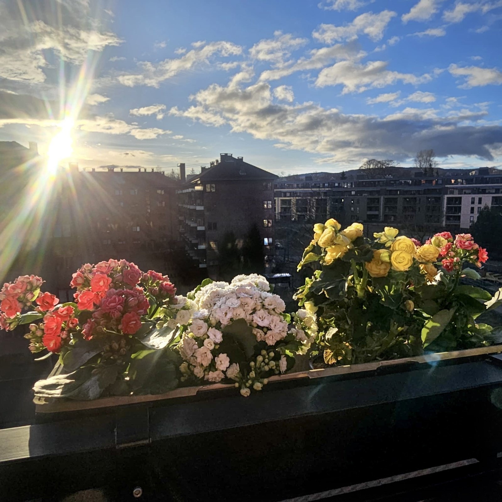 Solnedgang sett fra balkongen i mars. (Selgers bilde) Galleribilde