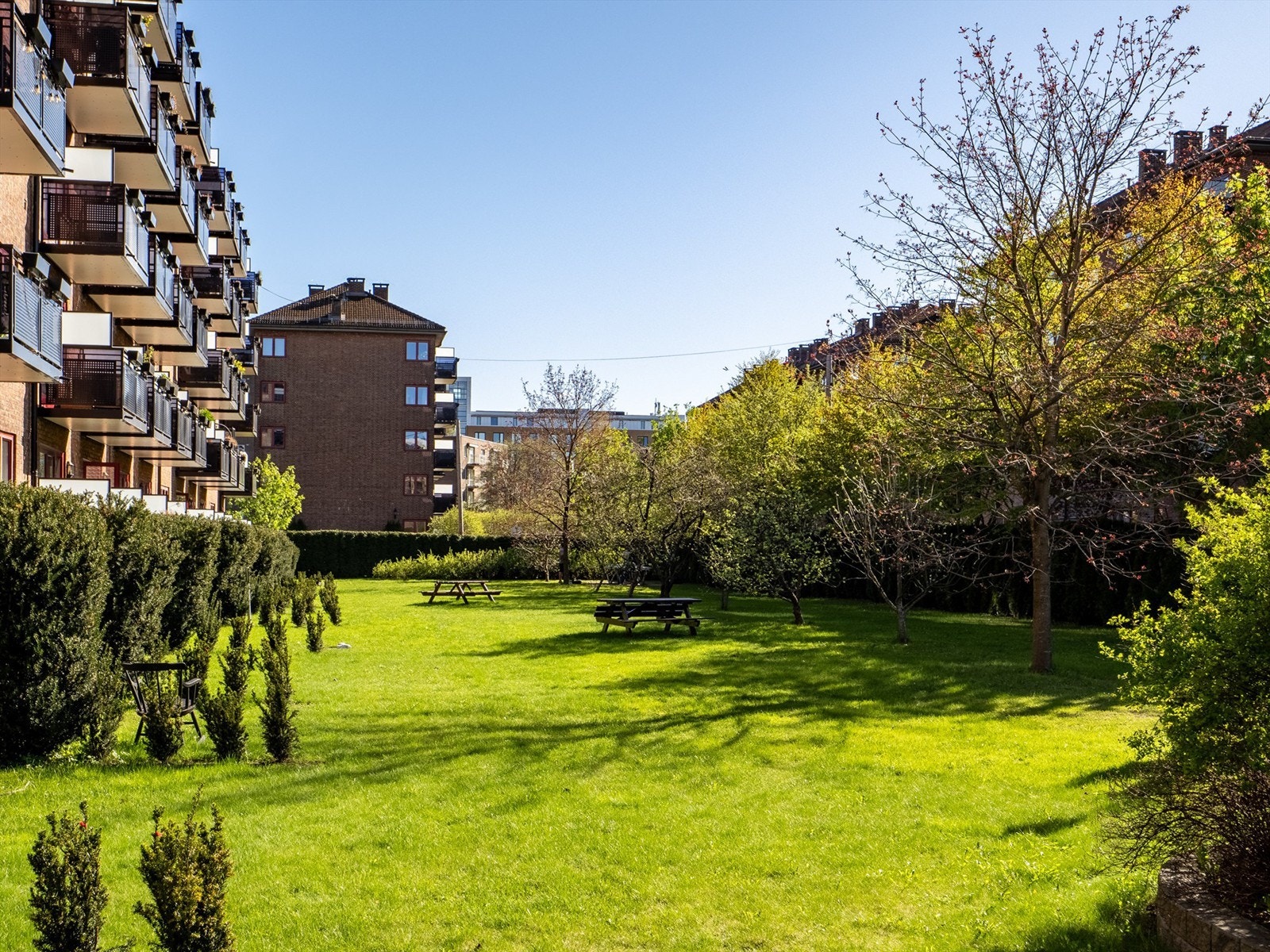 Det veldrevne borettslaget har store fellesarealer, med fem plattinger, frukttrær, bærbusker og dyrkekasser. Galleribilde