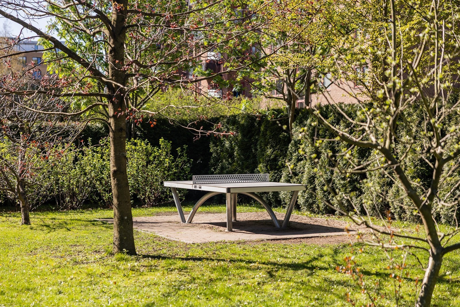 Utendørs bordtennis til glede for store og små. Galleribilde