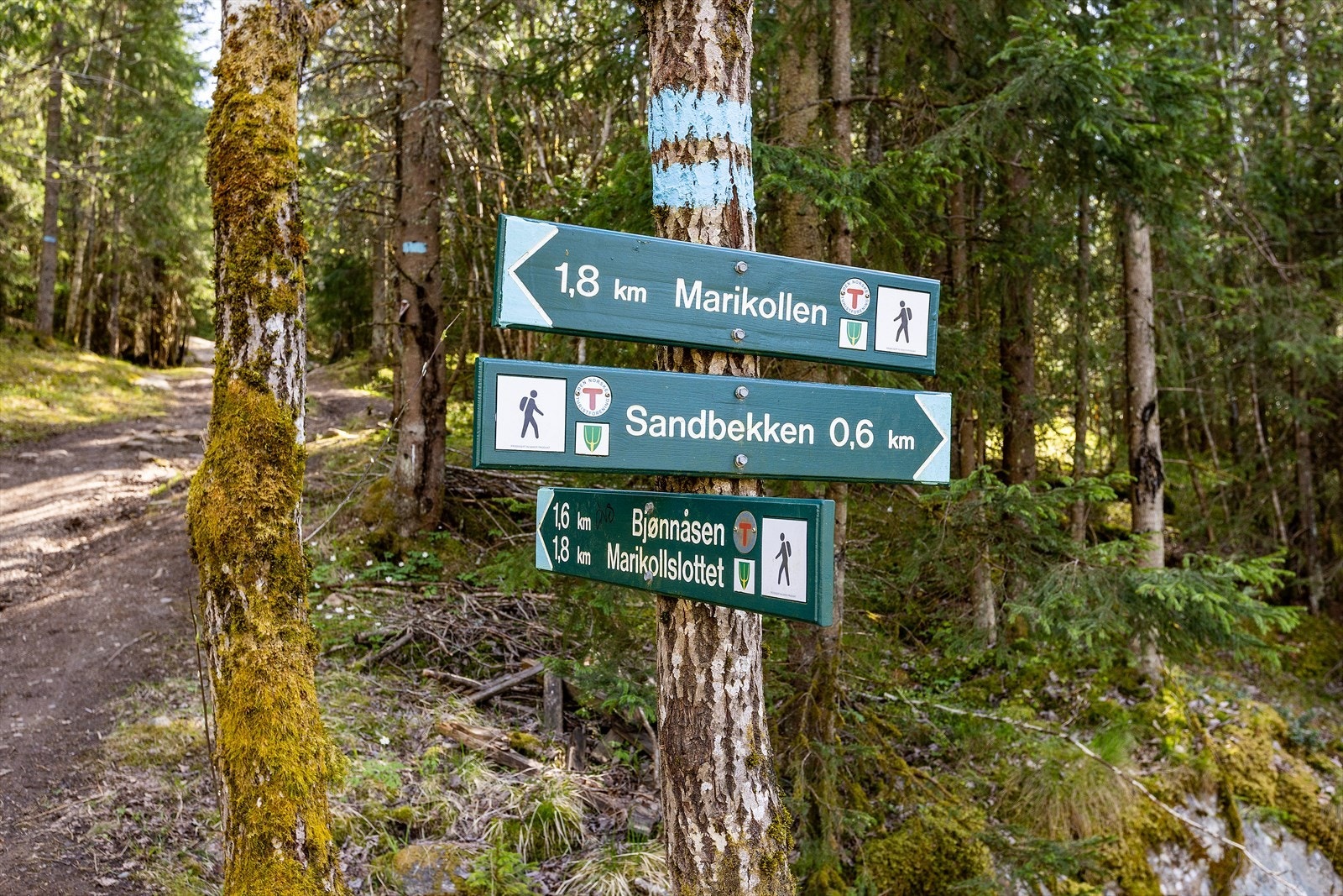 I tillegg til sin sentrale beliggenhet har eiendommen nærhet til flotte turområder i Østmarka. Fra boligen kan du blant annet ta turen opp til Bjønnåsen, med Østmarkas beste utsikt. Galleribilde