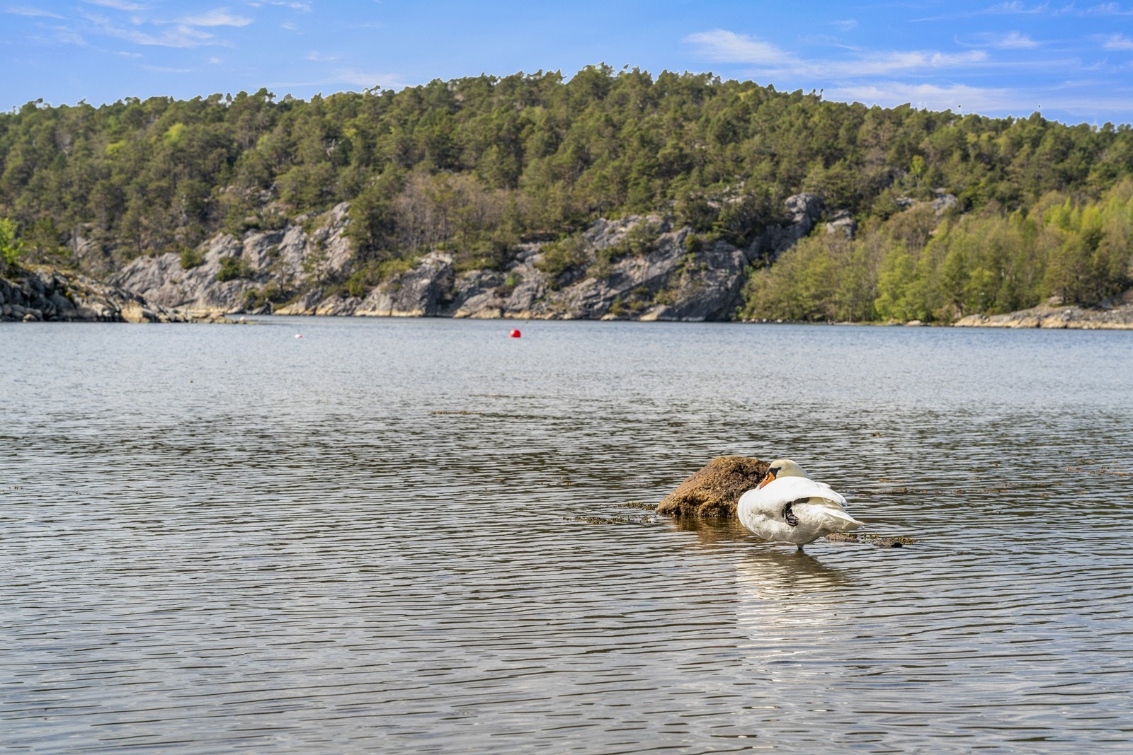 Naturskjønne omgivelser Galleribilde
