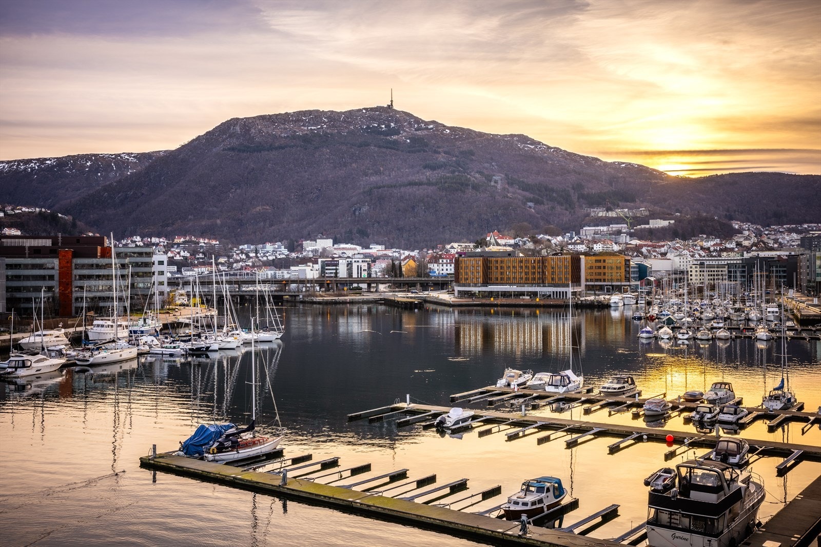 Innerst i Solheimsviken finner man Moxy hotell, samt den populære meksikanske restauranten Ostra. Galleribilde